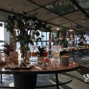 역삼-1468 이미지