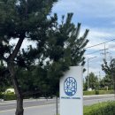 상상초당 | 강릉 강문해변 가성비 펜션 '상상초당' 후기