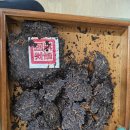 만송 | 대평 보이차 추천｜2013 구오지존 숙차| 이무 만송 숙차 솔직 후기｜숙미 적은 가성비 숙차 찾는다면 추천