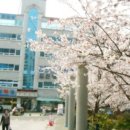 웰리스 휘트니스 이미지