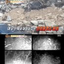 김수정농장 이미지