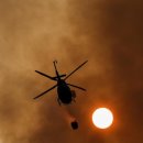 그란피코 이미지