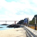 고래불 해수욕장 이미지