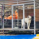 별빛민박농원 이미지