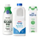 첨담기업3로1L-14 | 🍶그릭요거트용 우유, 어떤 우유를 선택해야 할까? 여러 종류의 우유별 특징과 그릭요거트만들기 비교...