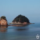 한국맥도날드충남 네이버블로그
