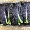 비룡6길 이미지