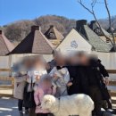 영수목장 이미지