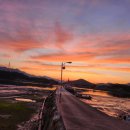 완도20호 | [완도대교 낚시 여행] 바다 위를 걷다, 완도대교에서 즐기는 짜릿한 손맛!