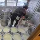 병천삼겹살1호점 | [부산 시청역 맛집] “동합국밥” 맛집 리뷰