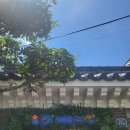 맛집해물칼국수 이미지