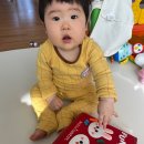 퍼니소프트 | 아띠래빗 퍼니북 비지북 후기｜8개월 아기 구강기 장난감 솔직 리뷰