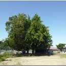 원평지마을회관 이미지