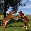 소울메이트 pc방 | [지원청 8급 교행 기록] 6월