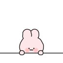 엘시티2층365하나약국 이미지