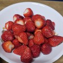 코인박스 노래연습장 | 4월 강릉당일치기 여행 기록_강릉 내돈내산 맛집, 카페_강릉여행코스