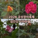 곡성레져문화센터 | 전라도 곡성 세계장미축제 실시간 개화 상황 주차장 이용 시 주의 사항
