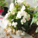 카페슬로우 이미지