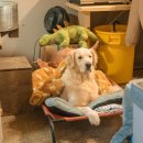 화순로56번길 이미지