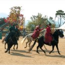 한국의 공놀이 - 놀이문화이자 무예연마를 위한 수단 이미지