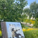 톰소여의 모험 | 『톰 소여의 모험』 마크 트웨인