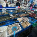 율포회센터 이미지