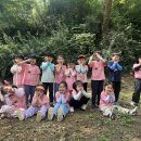 🌳6월 숲데이 - 밀웜과 슈퍼밀웜 그리고 갈색 거저리 이미지