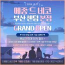 메종드센텀 | 서면 고양이분양 메종 드 네코 센텀본점 – 부산먼치킨분양부터 브리티쉬숏헤어까지, 고양이들의 천국!