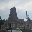 마하리 | 투어: 마이 말레이시아 반딧불 + 블루 티어스 투어 후기 1편 - 국립모스크, 바투 동굴, 스리샥티사원