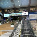 (주)이마트 왕십리점 | 왕십리 CGV 엔터식스에서 가는법 주차 관람 후기