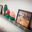 해피퍼피 강아지 유치원 이미지