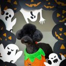 이팝미용 이미지