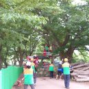 입석초교 이미지