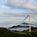 (주)블루관광여행사 이미지