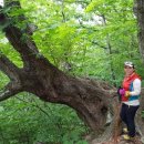 연산군 유배지 이미지