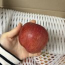 맛없으면사과 | 집들이 과일선물세트 맛없으면 무료반품 부사사과 추천 후기