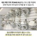 대도숙쿠도서울본부도장
