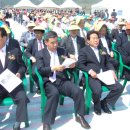 신안 태양광발전소 이미지