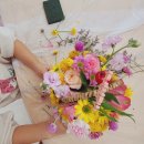 가곡초등학교, 가곡초교(병설유치원) 이미지