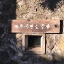 호근목장 이미지