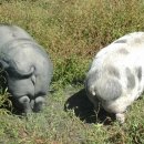 함열 농장 이미지