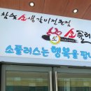 커낼워크 여름동3 이미지