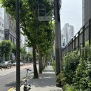 광평 평양냉면갈비 강남점 | 강남 맛집 모임장소 추천 분위기 좋은 고기집 광평 평양냉면갈비 강남직영점