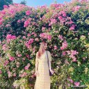 세븐일레븐 대구중리체육공원점 이미지