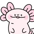 스토리터치