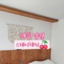 스테이체리 이미지