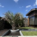 고내다운 이미지