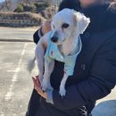 지내원당로 이미지