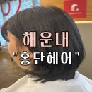 해운대 미용실 “홍단 헤어” 방문 후기 (퍼스널 컬러 염색, 커트 후기)
