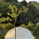 삼산야영장 이미지